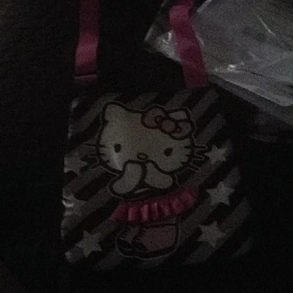 Hello kitty purse